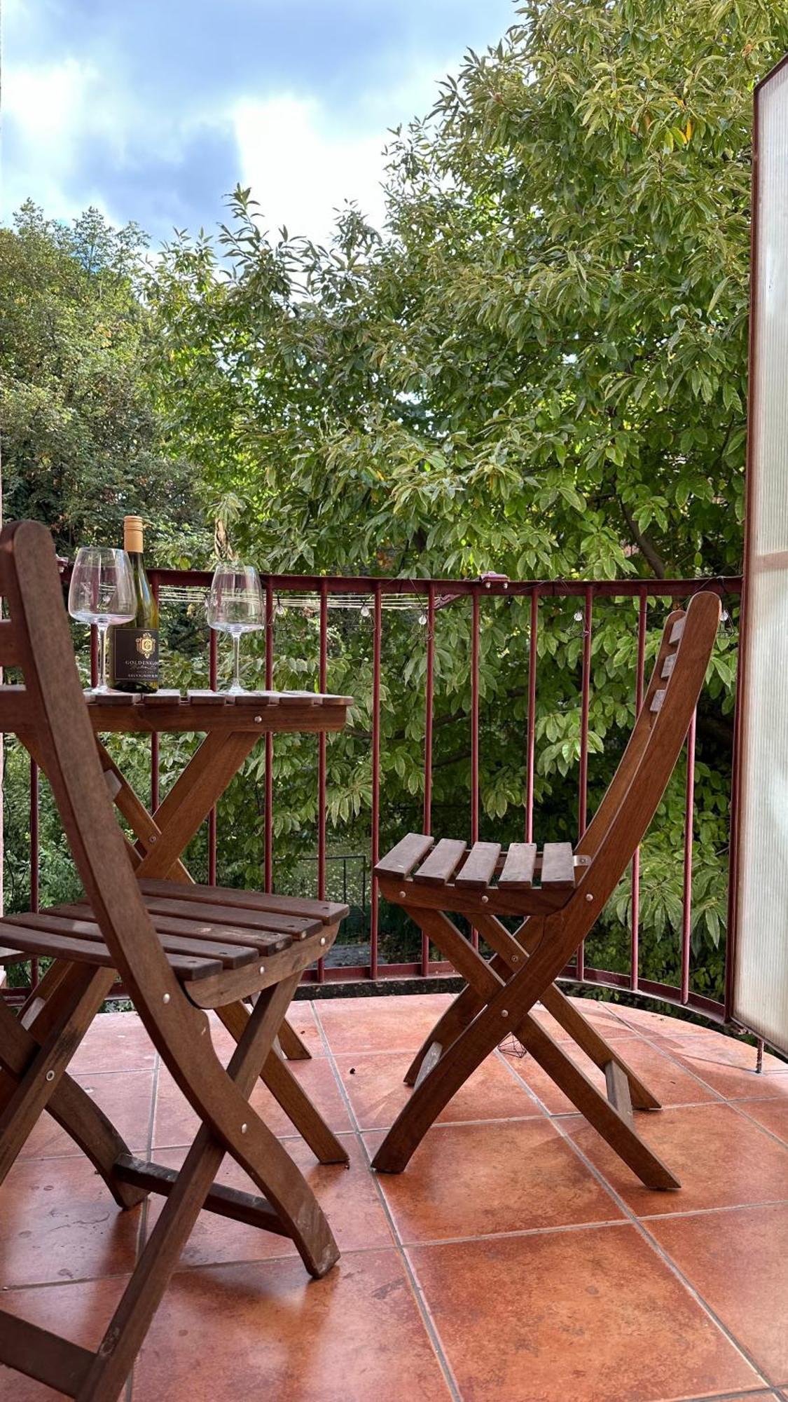 Apartman S Balkonem U Parku & 15 Minut Do Centra Brno Eksteriør bilde